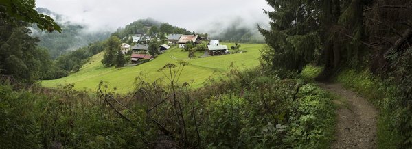 L'actualité en france : panoramas régionaux à explorer